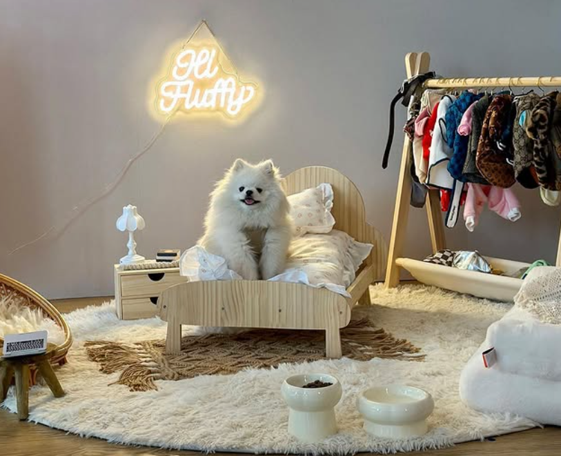 Décorer sa chambre avec un néon