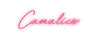 Néon personnalisé - Camalice Laboiteaneon